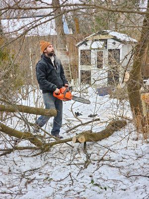 A man is cutting a tree with a chainsaw in the snow.