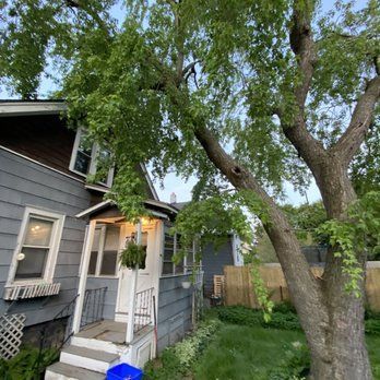 A house with a large tree in front of it.