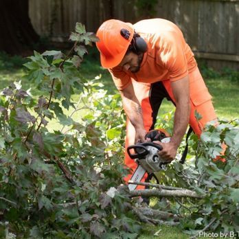 A man is cutting a tree branch with a chainsaw