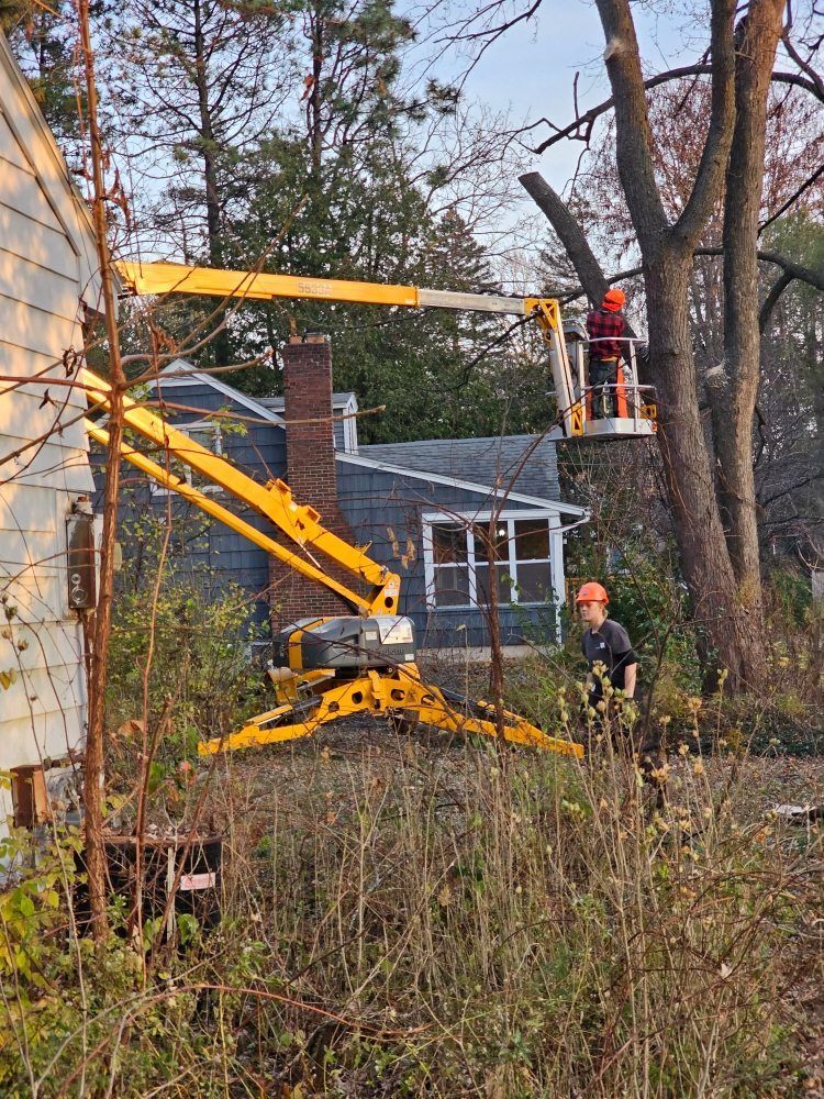 A man is cutting a tree with a crane in front of a house.