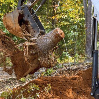 A tree stump is being removed from the ground by an excavator.