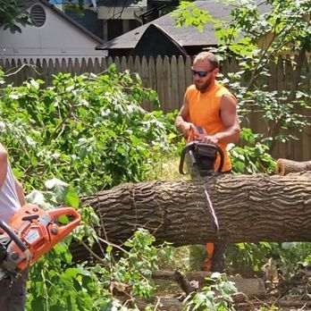 A man is cutting a tree with a chainsaw.