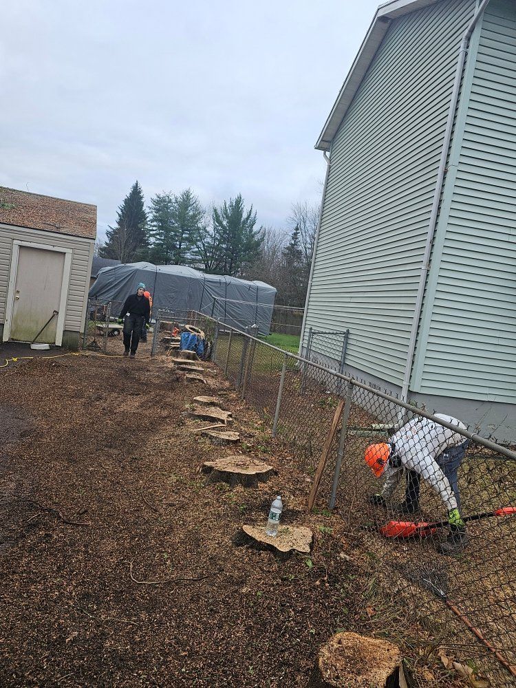 A man is cutting a tree stump in front of a house.