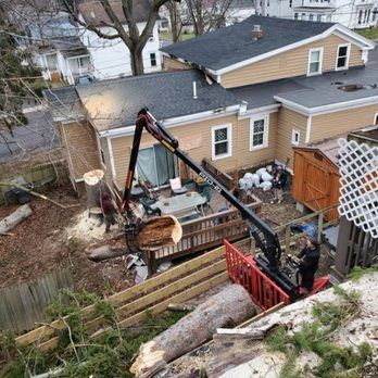 A crane is cutting a tree in front of a house.