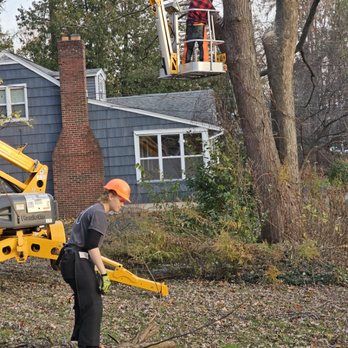 A man is cutting a tree with a crane in front of a house.