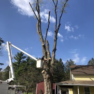 A tree is being cut down by a crane in front of a house.