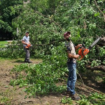 Two men are cutting a tree with chainsaws.