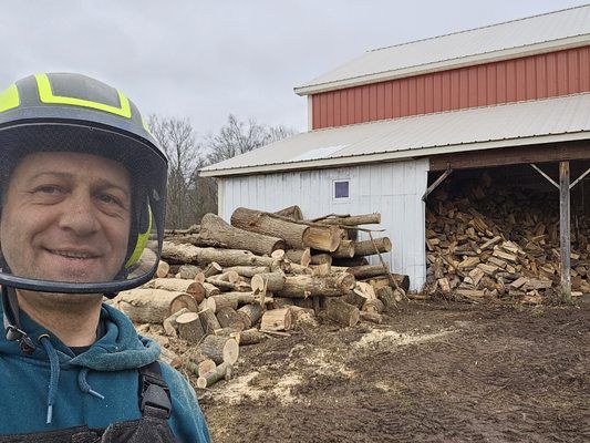 A man wearing a helmet is standing in front of a pile of logs.