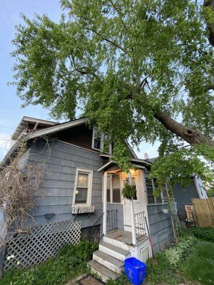 A house with a tree growing on top of it.