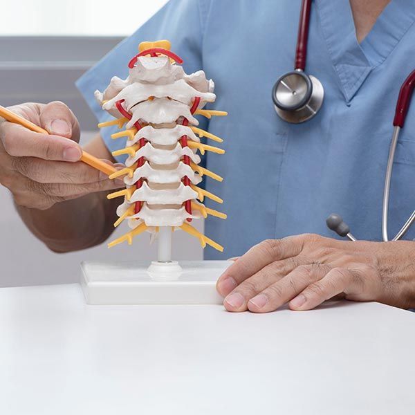 Artificial human cervical spine model 