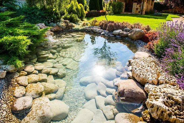 A serene pond with clear water surrounded by rocks, gravel, and lush greenery.