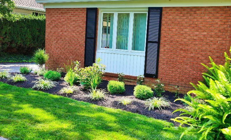A well-maintained brick home with a garden bed featuring various green plants and black shutters.