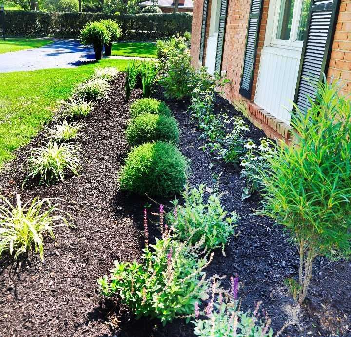 Landscaped flower bed with various plants and dark mulch next to a brick building.