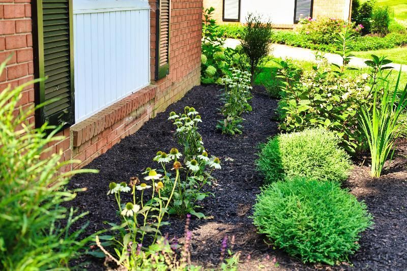 Landscaped bed with black mulch, green plants, and a brick building.