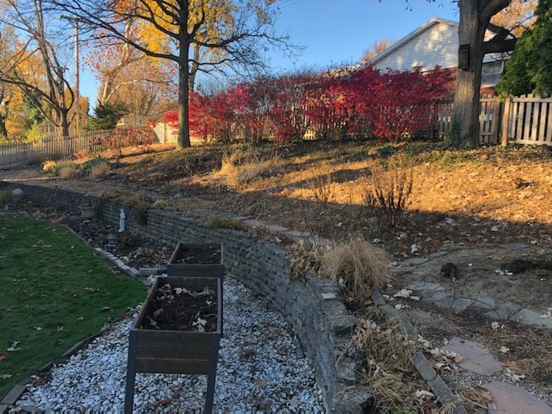 A dry creek bed in autumn with red bushes, grass, and stone walls.  Wooden planters in the foreground.