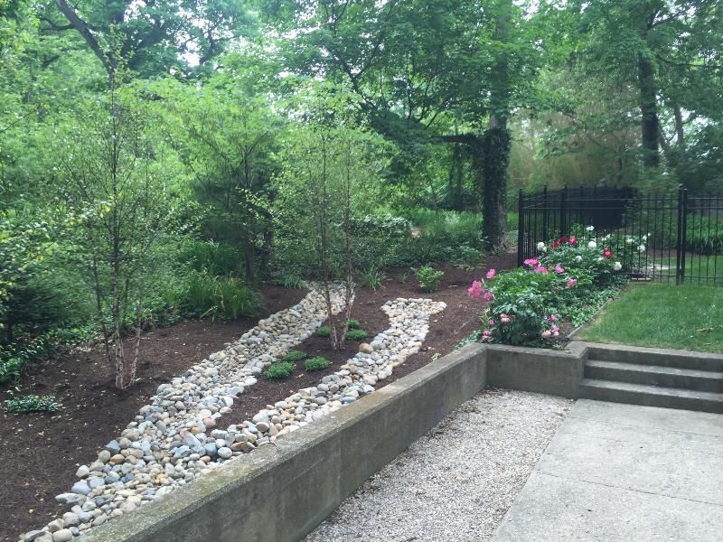 A landscaped backyard with rock gardens, small trees, and a concrete patio.