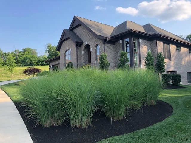 Bushes of tall green grass border a house with a brick exterior and a dark brown roof.