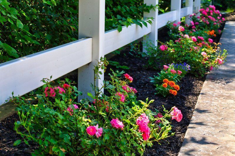 White fence bordering a garden bed filled with colorful roses.