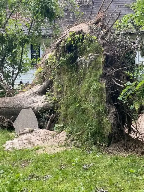 A large tree stump is sitting in the grass in front of a house.