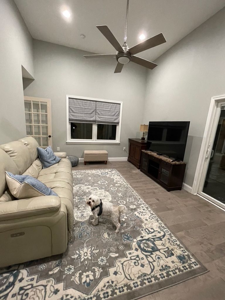 A living room with a couch , rug , television and ceiling fan.