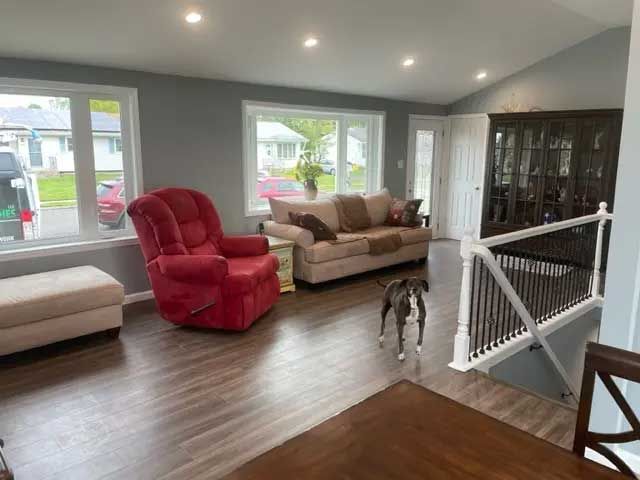 A living room with a couch , chair , and dog.