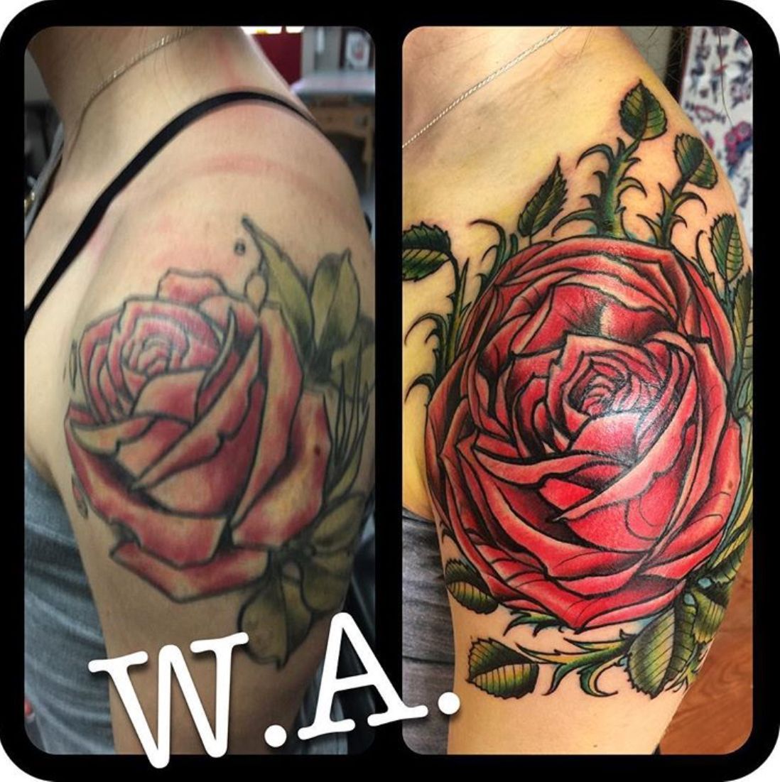 Before and after of a rose tattoo on a shoulder. The tattoo is updated with more detail, thorns, and green leaves.