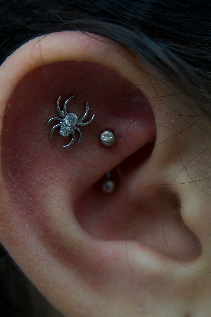 Ear with spider and two stud piercings.