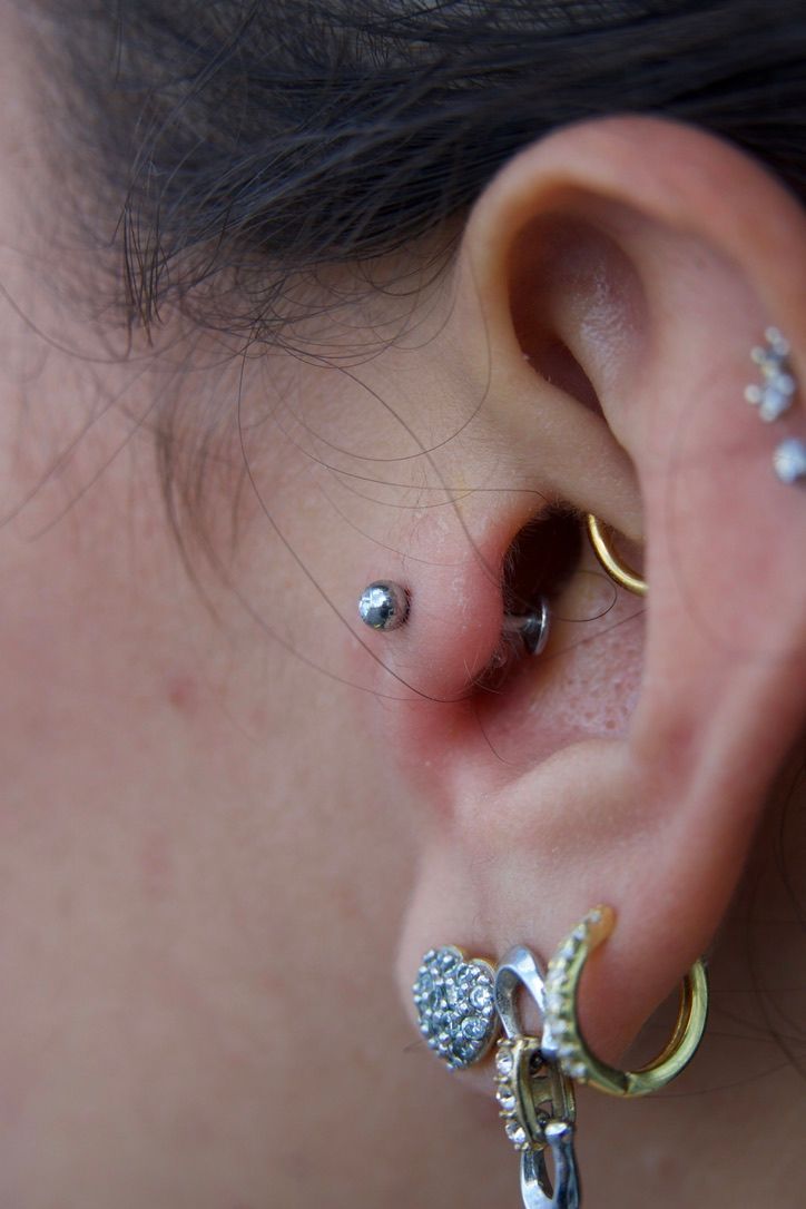 Close-up of a person's ear with multiple piercings, including a helix, tragus, and multiple lobe piercings with earrings.