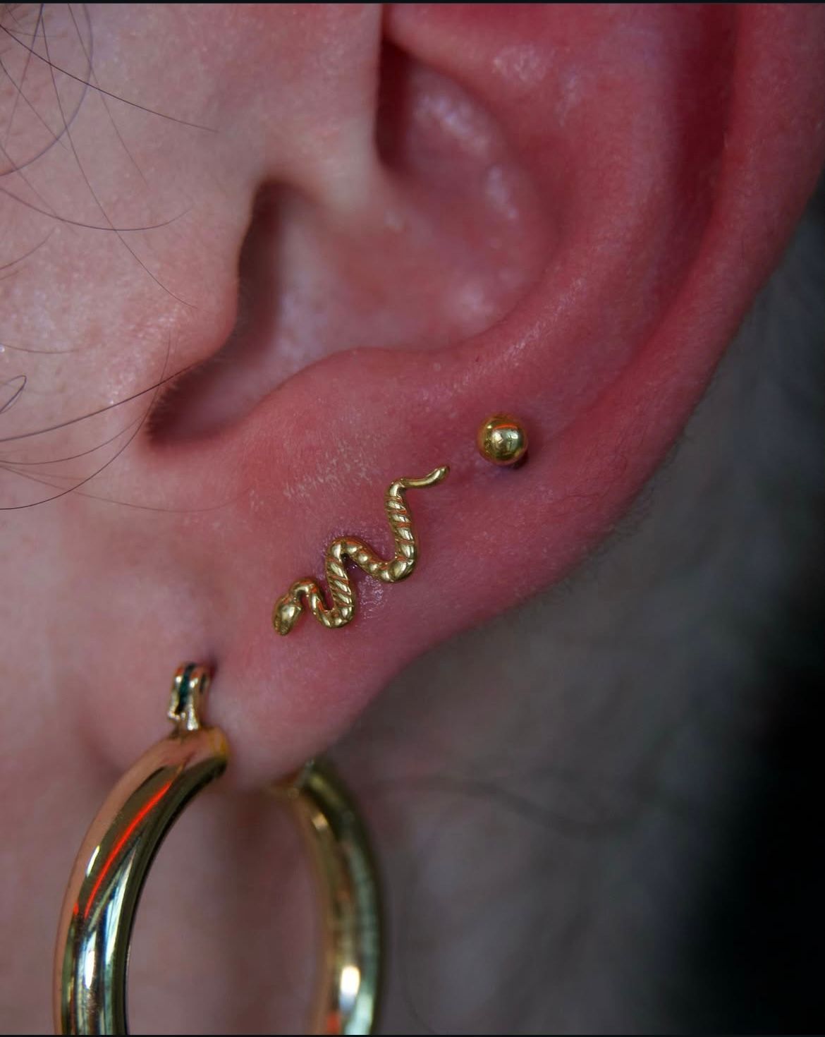Ear with three gold earrings: hoop, snake, and ball stud.