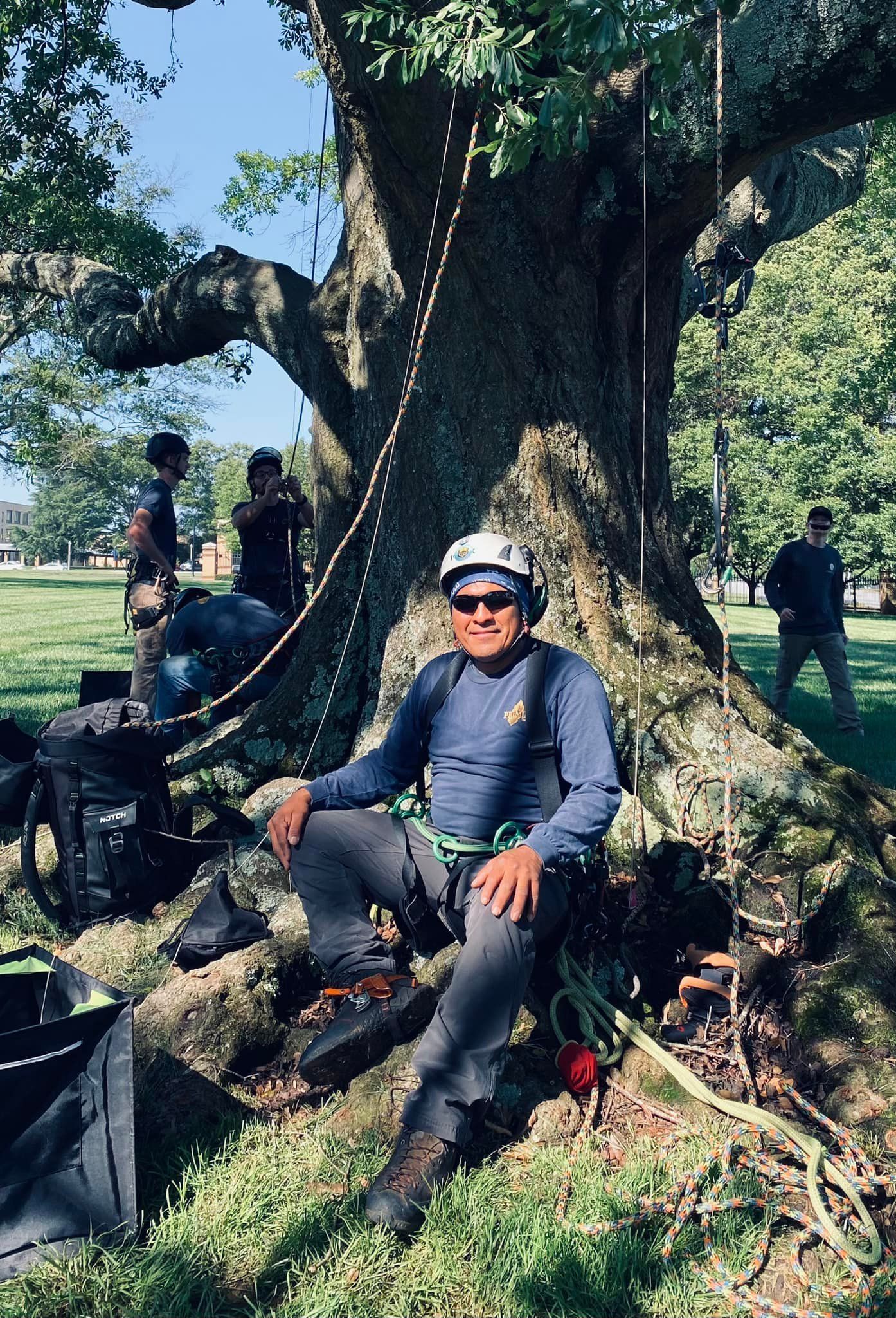 Person sitting at the base of a large tree in a sunny park, wearing a hat and backpack.
