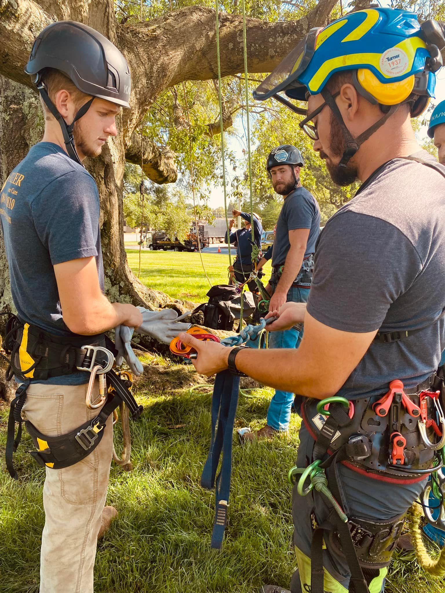 Two climbers in helmets and harnesses hold rope gear at an outdoor climbing site