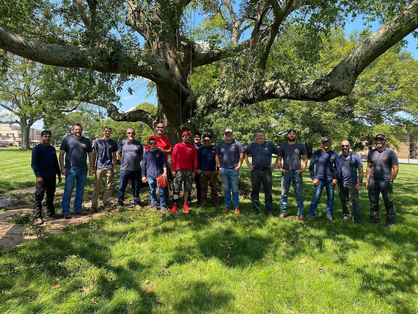 Group of people standing together in a grassy park under a large tree on a sunny day