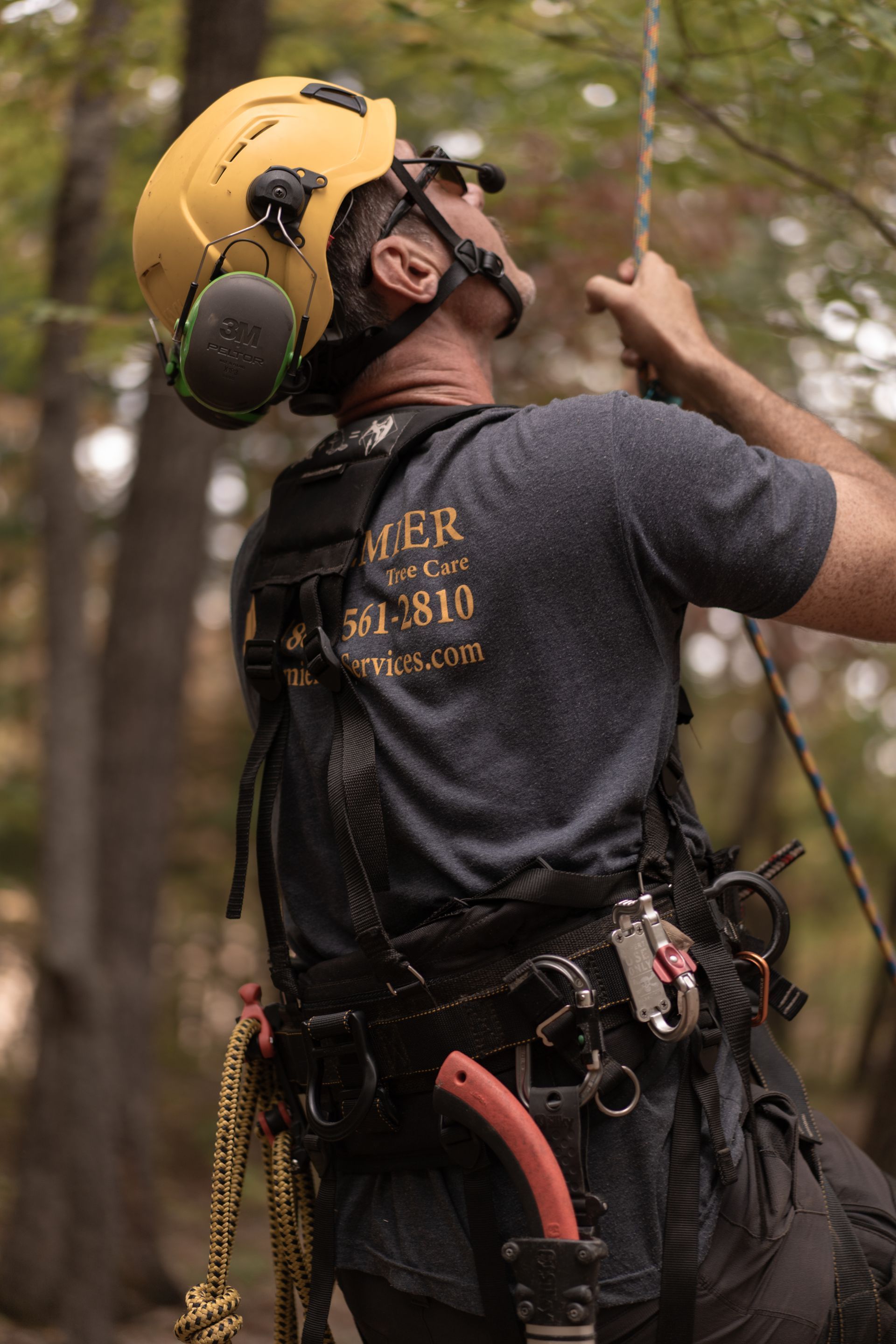 Climber in yellow helmet and harness rappels down a rope on a rock face, with trees behind.