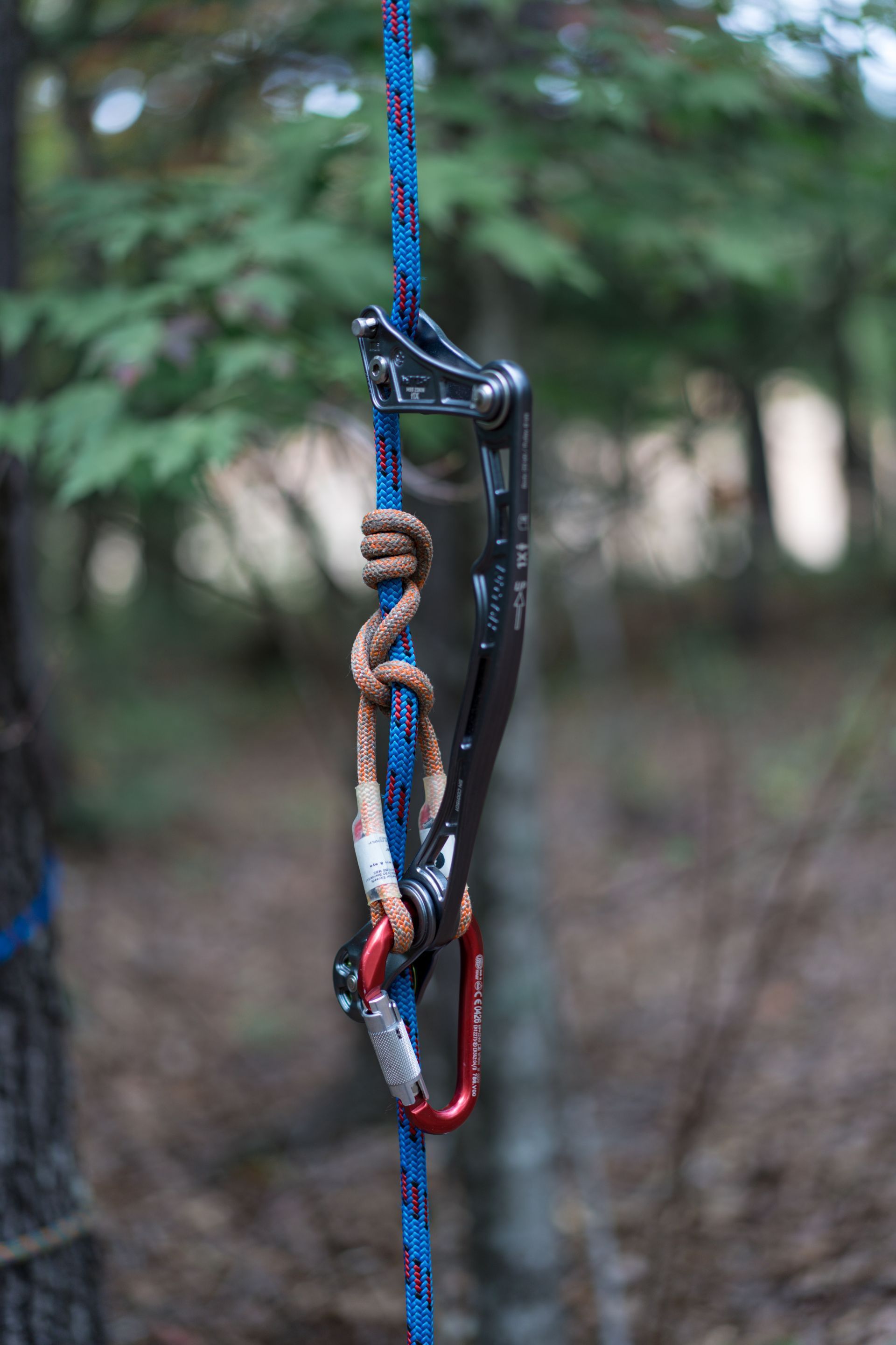 Climbing gear clipped to a blue rope, with a black carabiner and brown rope in a forest setting