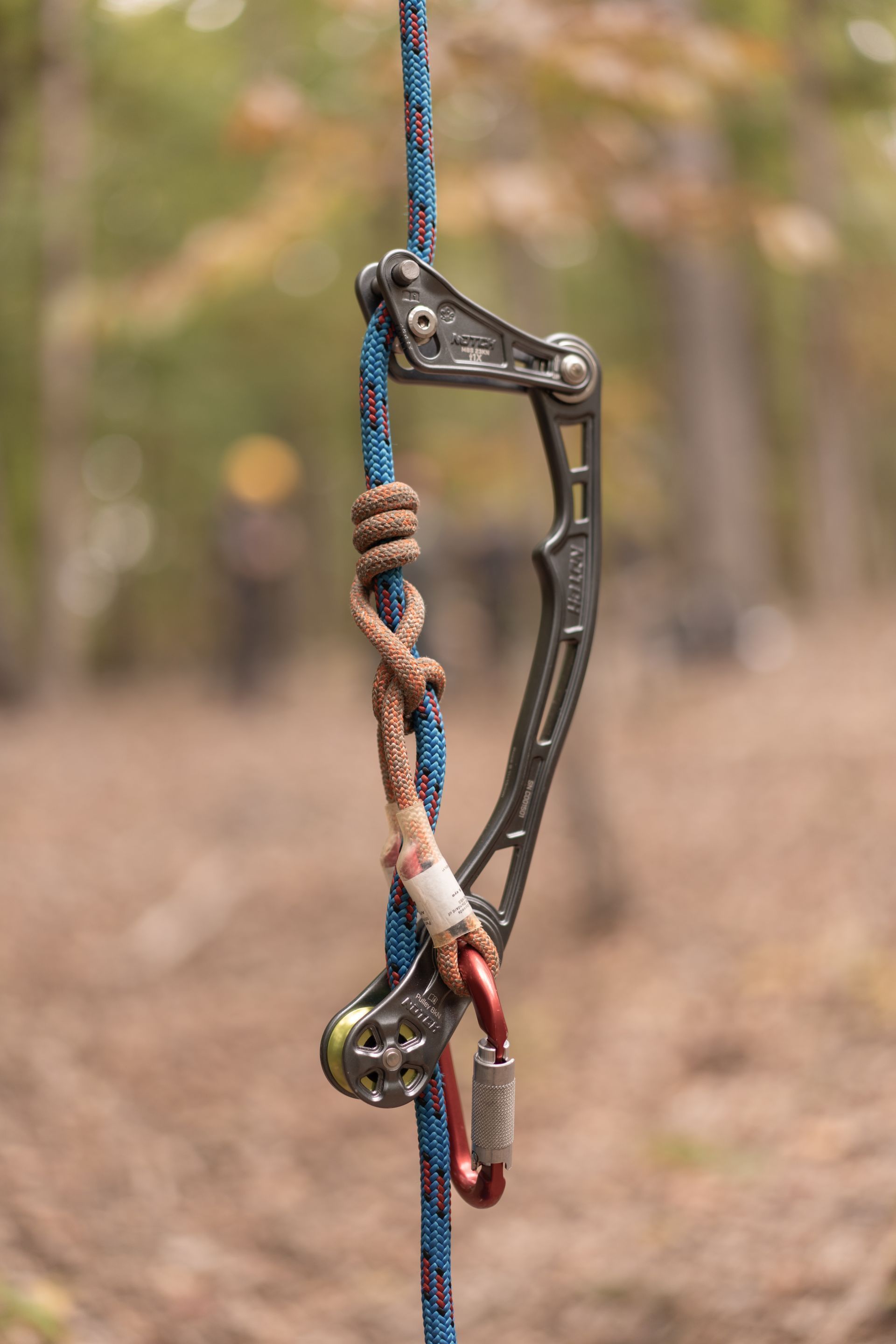 Climbing rope threaded through an anchor device attached to a tree trunk in a forest.