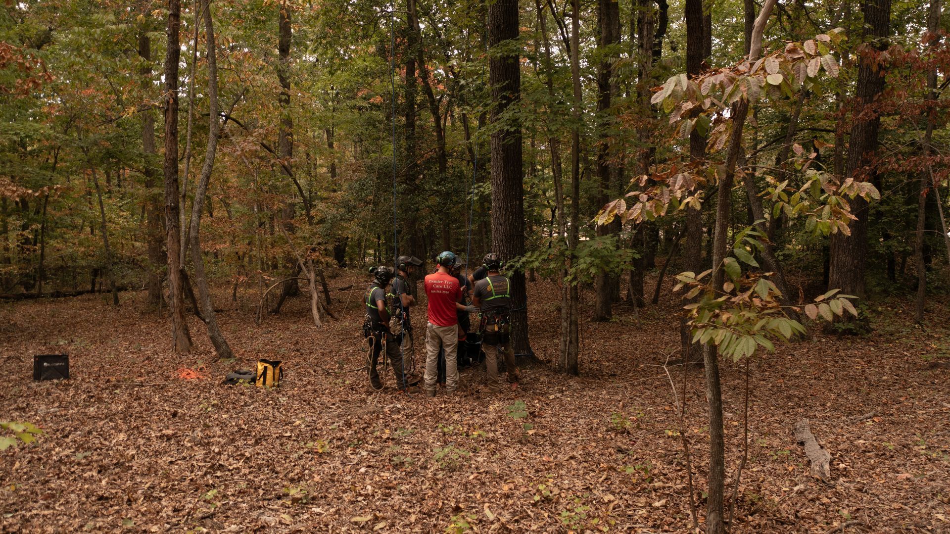 Three people standing in a wooded area in autumn, one wearing a red jacket