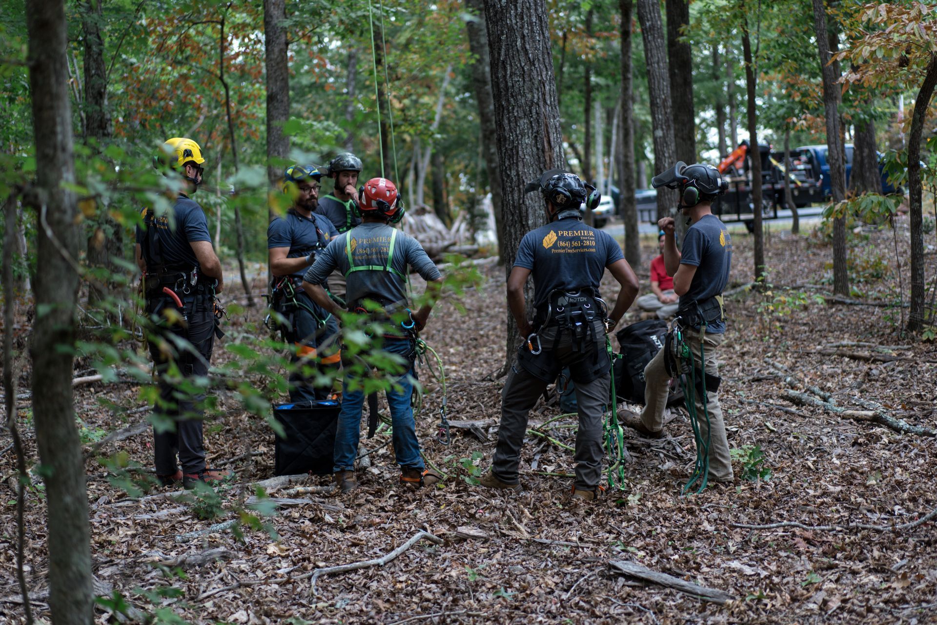 Rescue workers in helmets gather in a wooded area, preparing equipment near a vehicle.