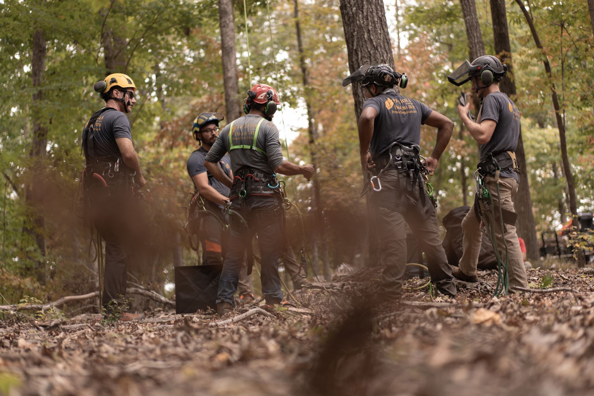 Group of hikers in helmets and backpacks standing in a wooded forest trail