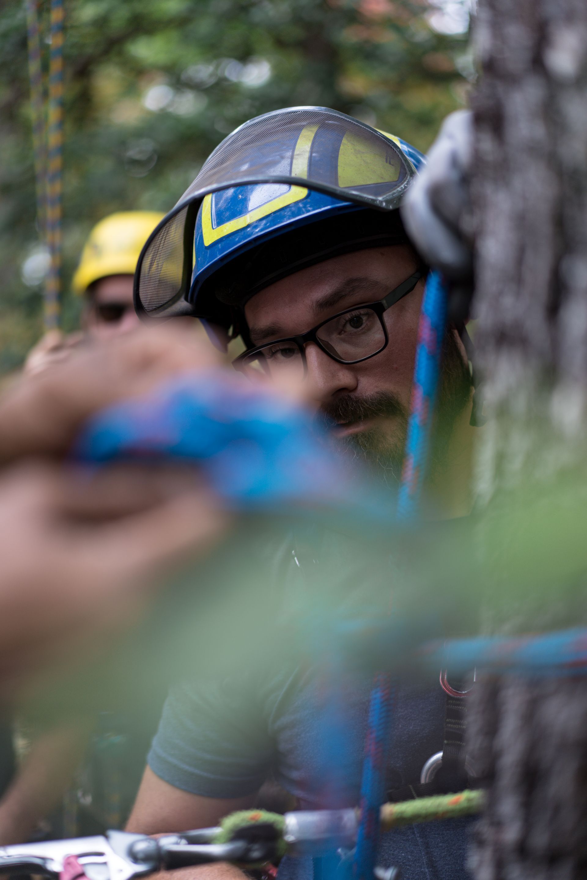 Person in a blue-yellow cap and glasses peering through tree branches in a wooded outdoor setting