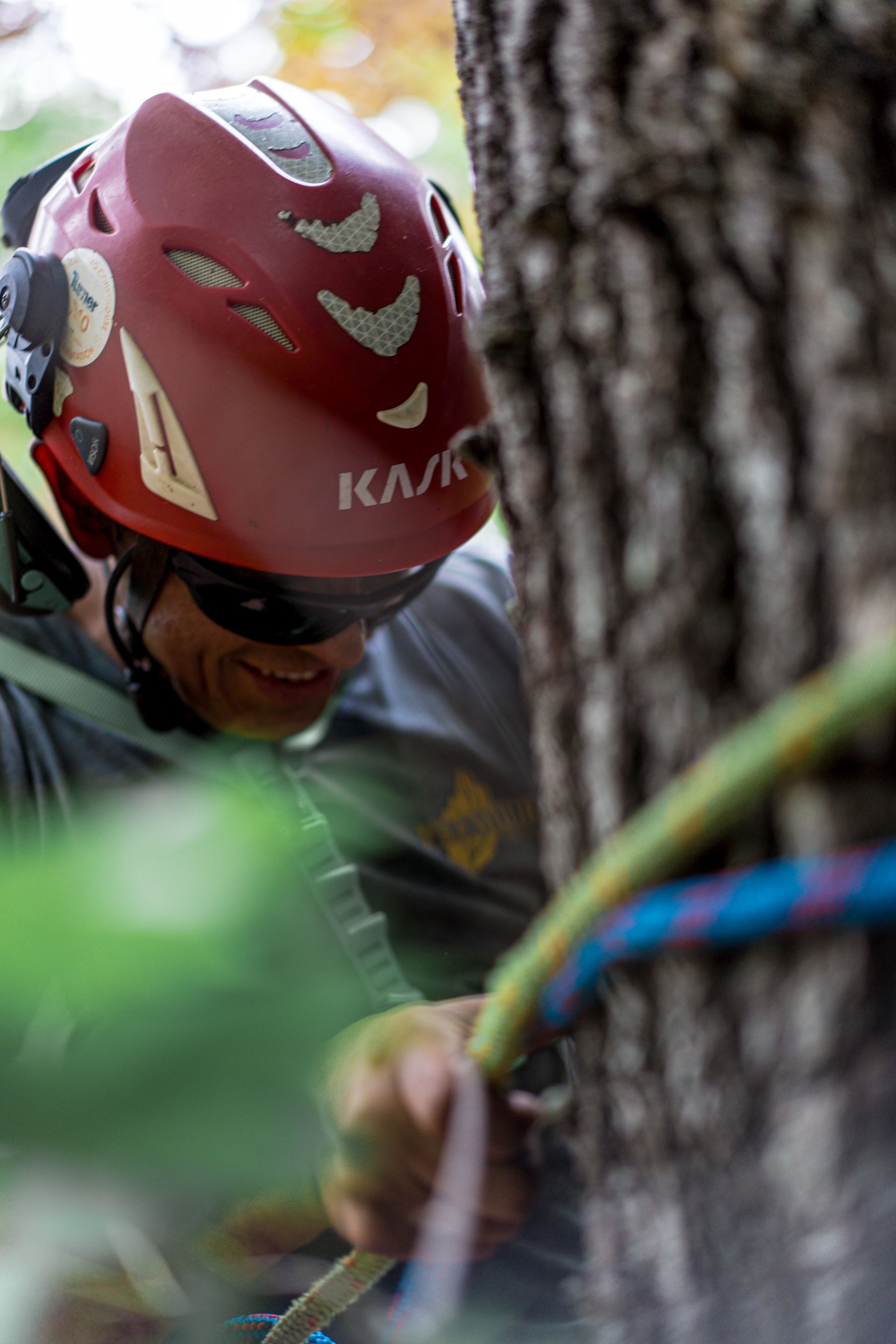 Red helmeted climber rappels beside a tree, with a safety rope in the foreground.