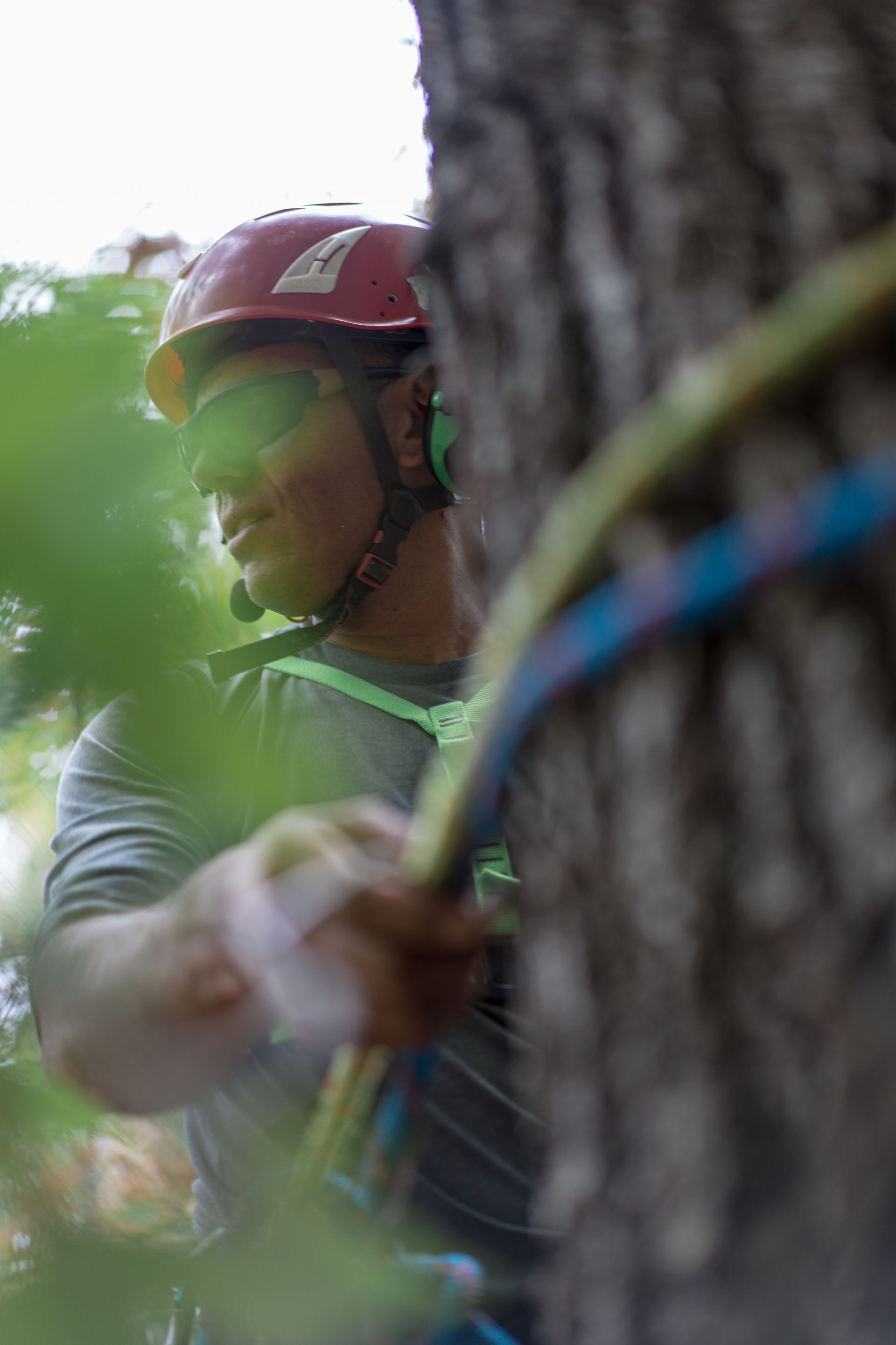 Rock climber in a red helmet and green shirt gripping a rope beside a tree trunk