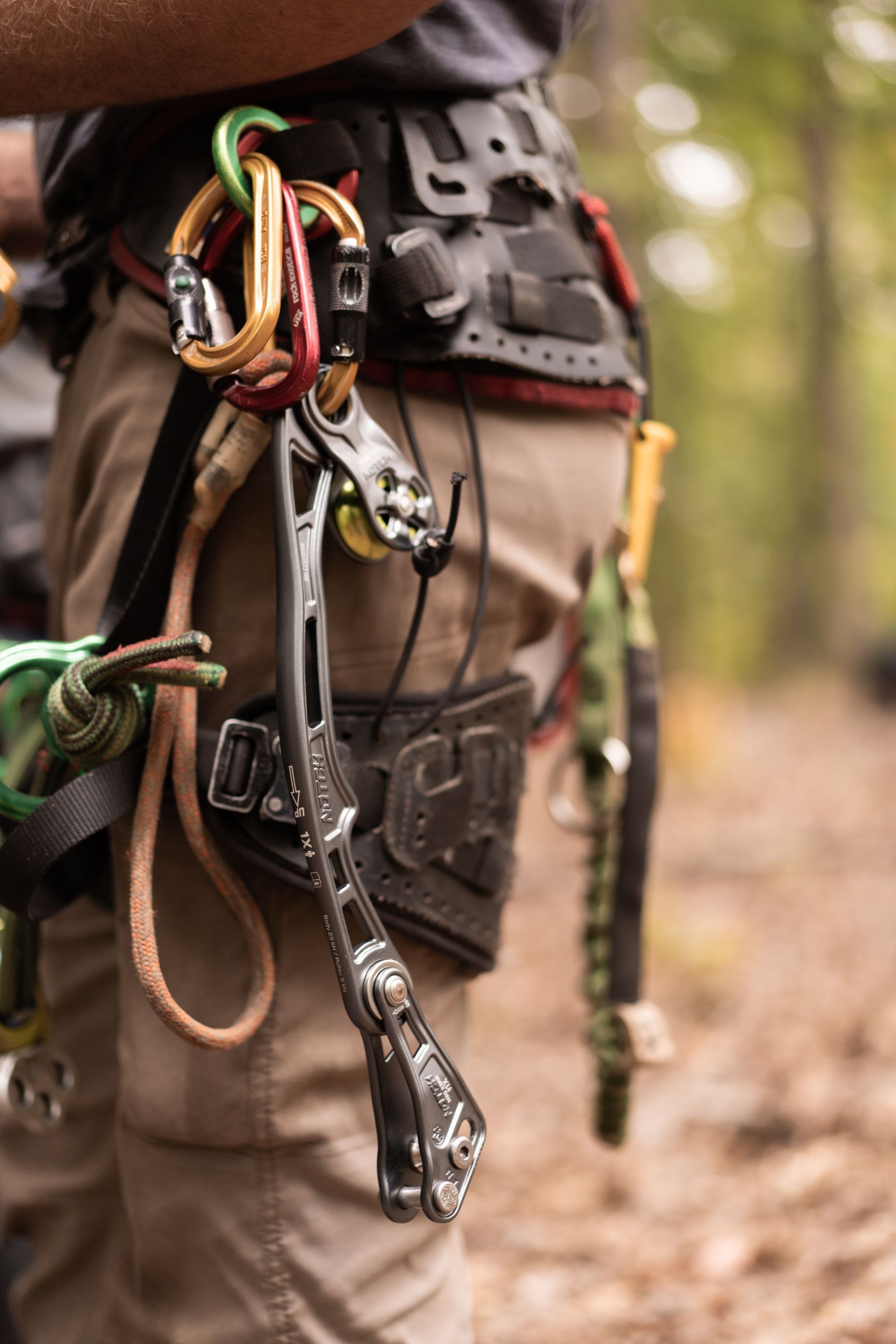 Climber’s harness with carabiners and ropes attached, hanging against khaki pants in a forest setting