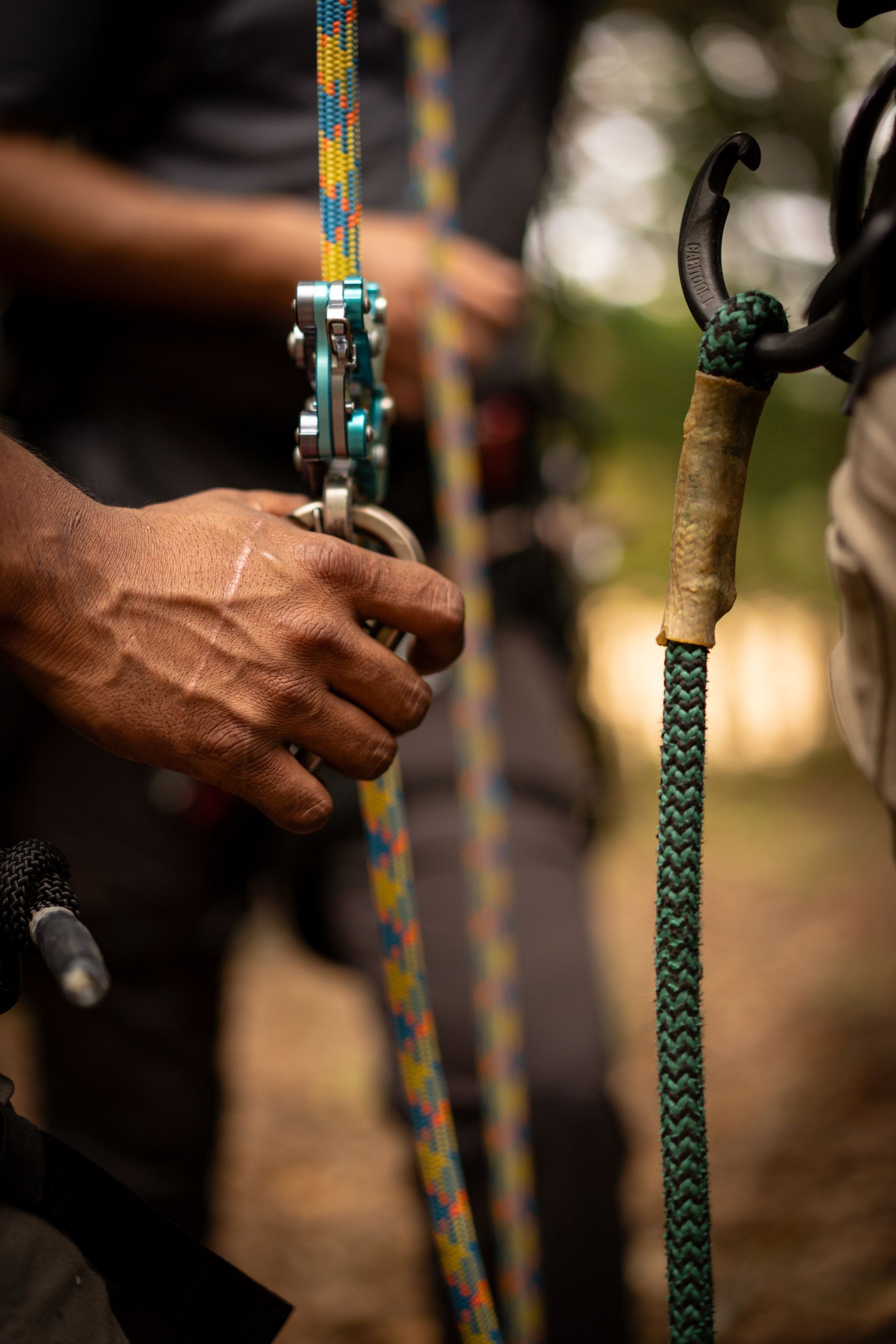 Hand holding a climbing rope and carabiner beside another rope anchor outdoors