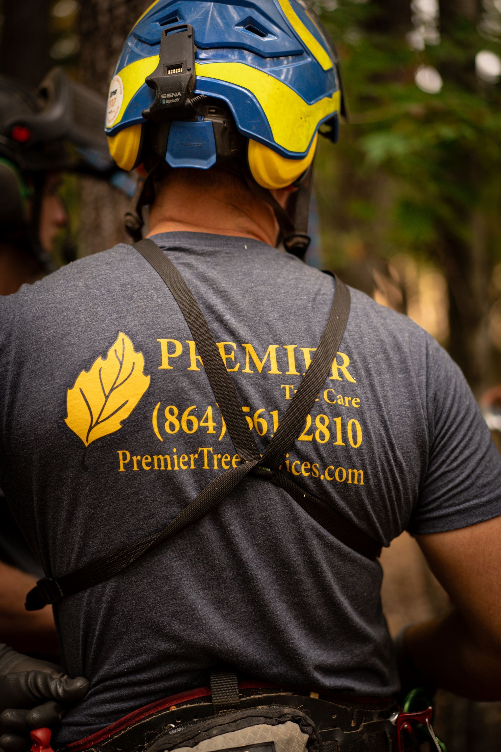 Tree worker in blue-and-yellow helmet and gray shirt with “Premier Tree” logo and phone number on the back