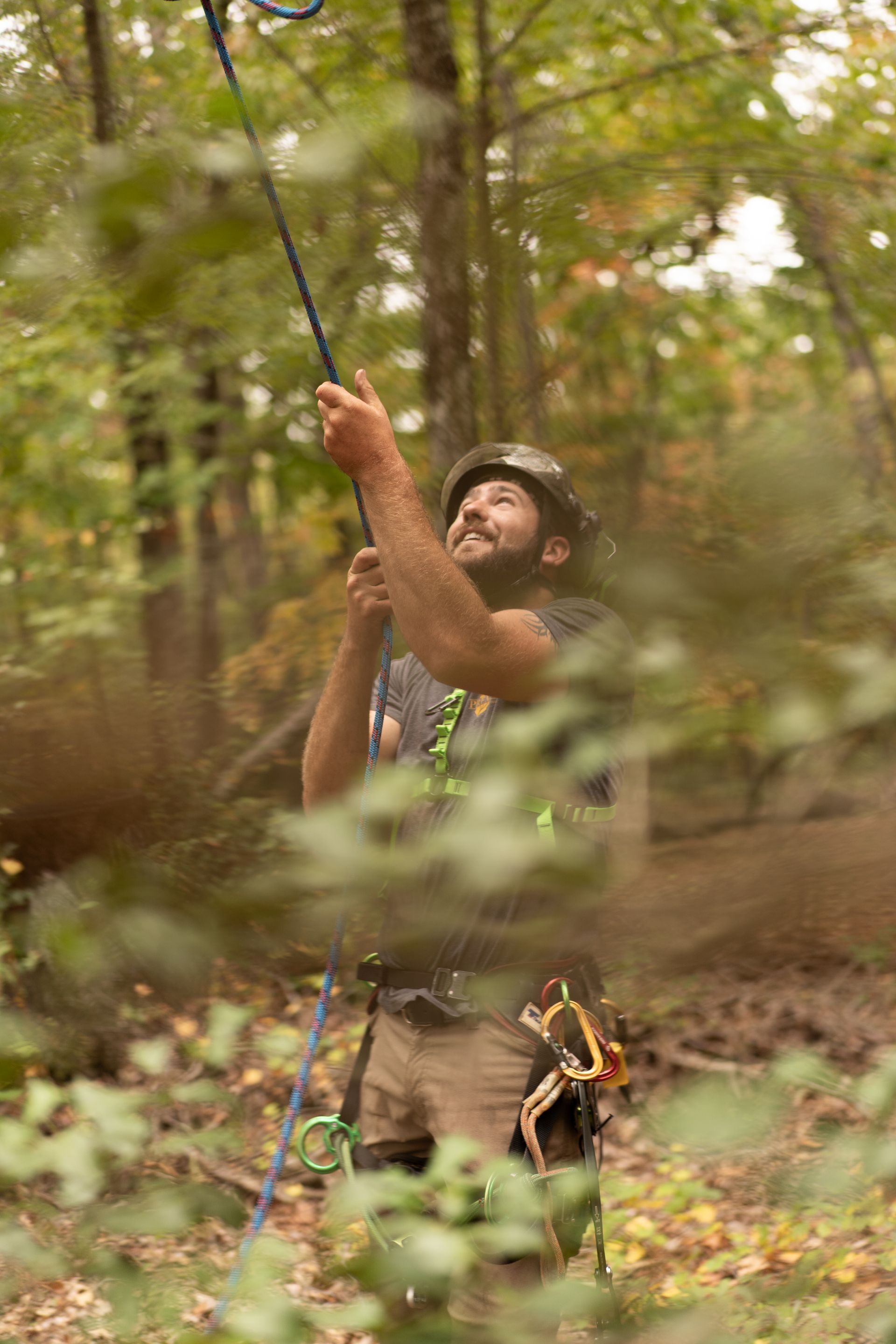Climber in a forest reaching up a rope among trees, with gear at their waist