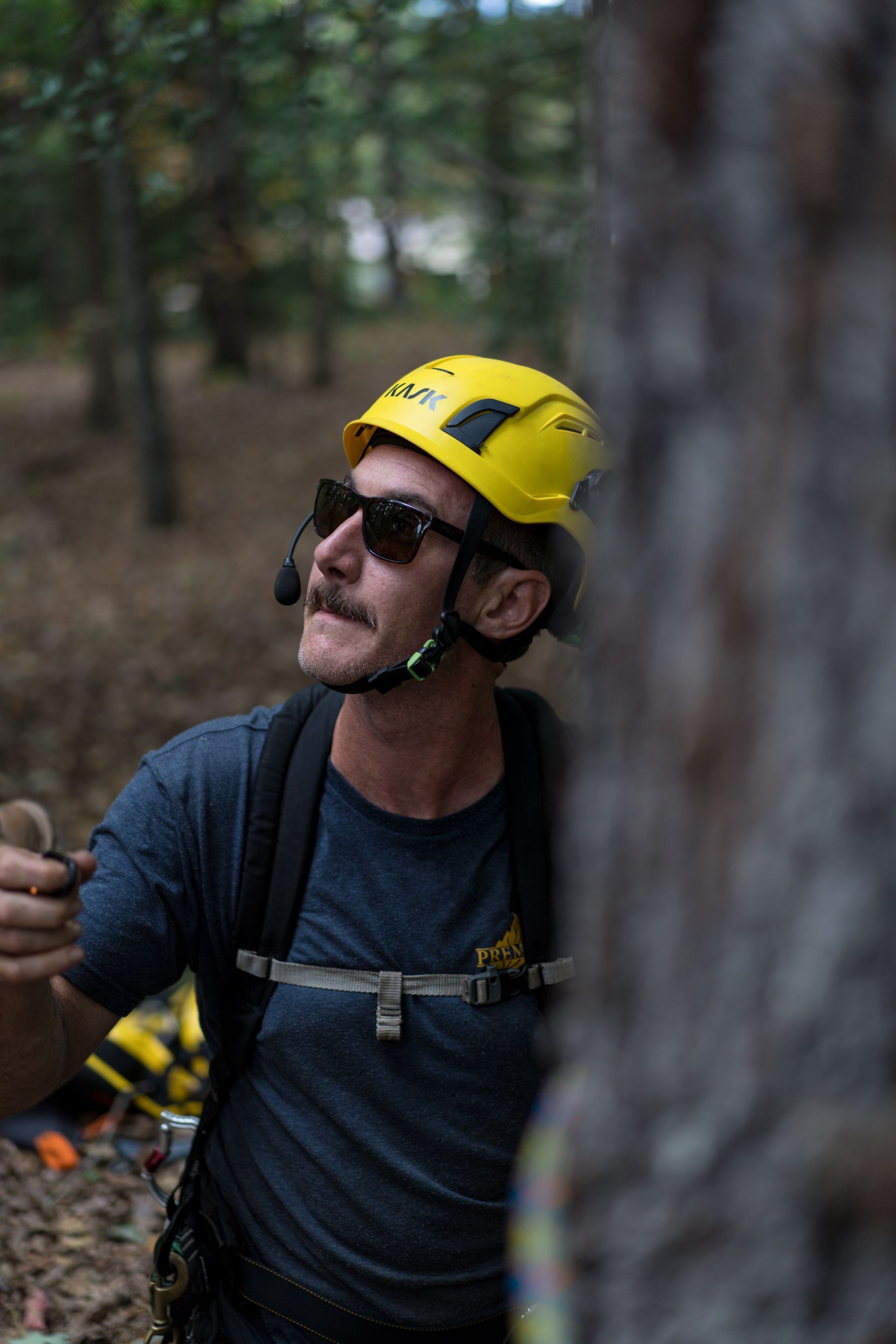 Man wearing a yellow helmet and sunglasses, climbing in a wooded area with a rope harness