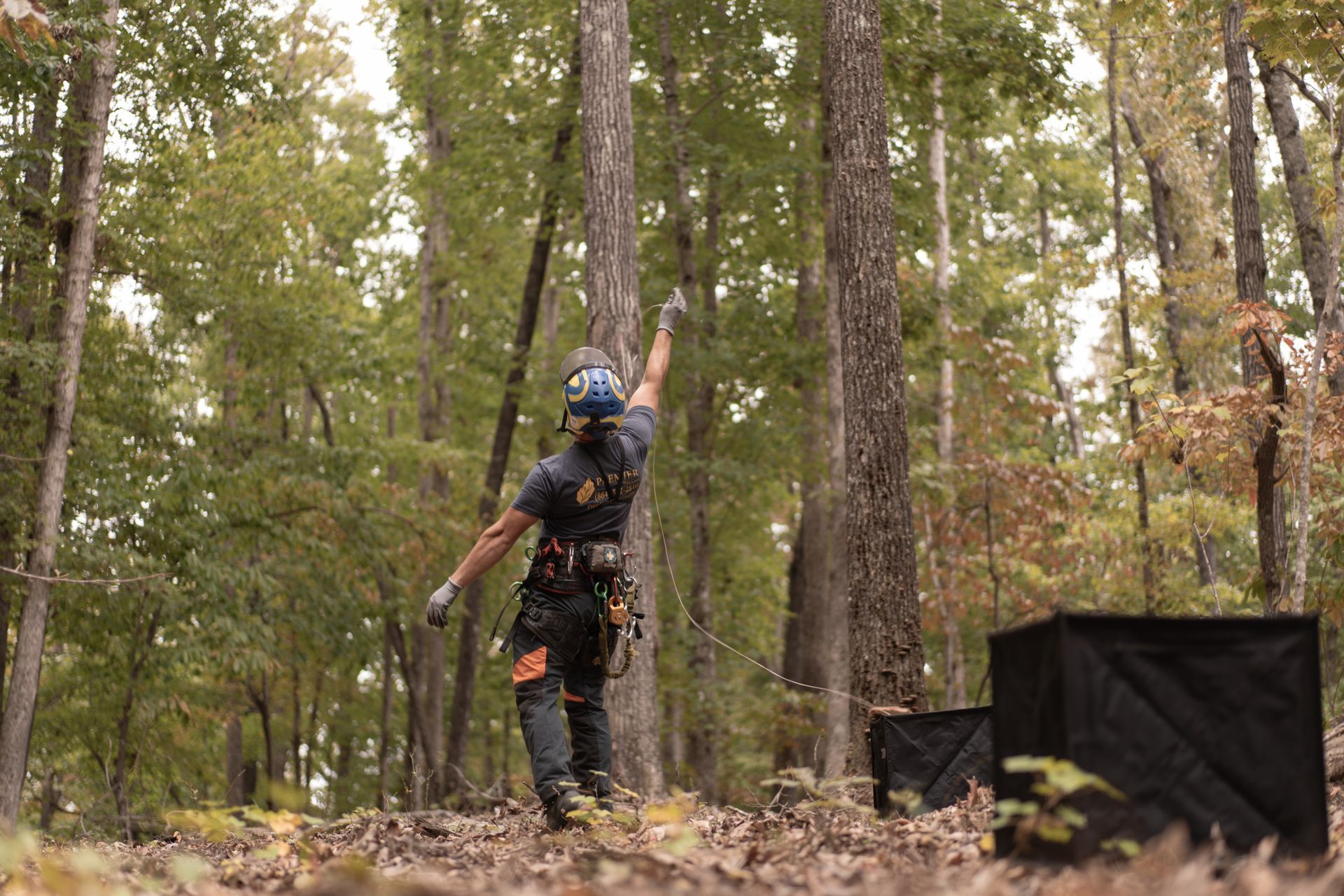 Paintball player in blue helmet aiming in a wooded forest course with black barriers