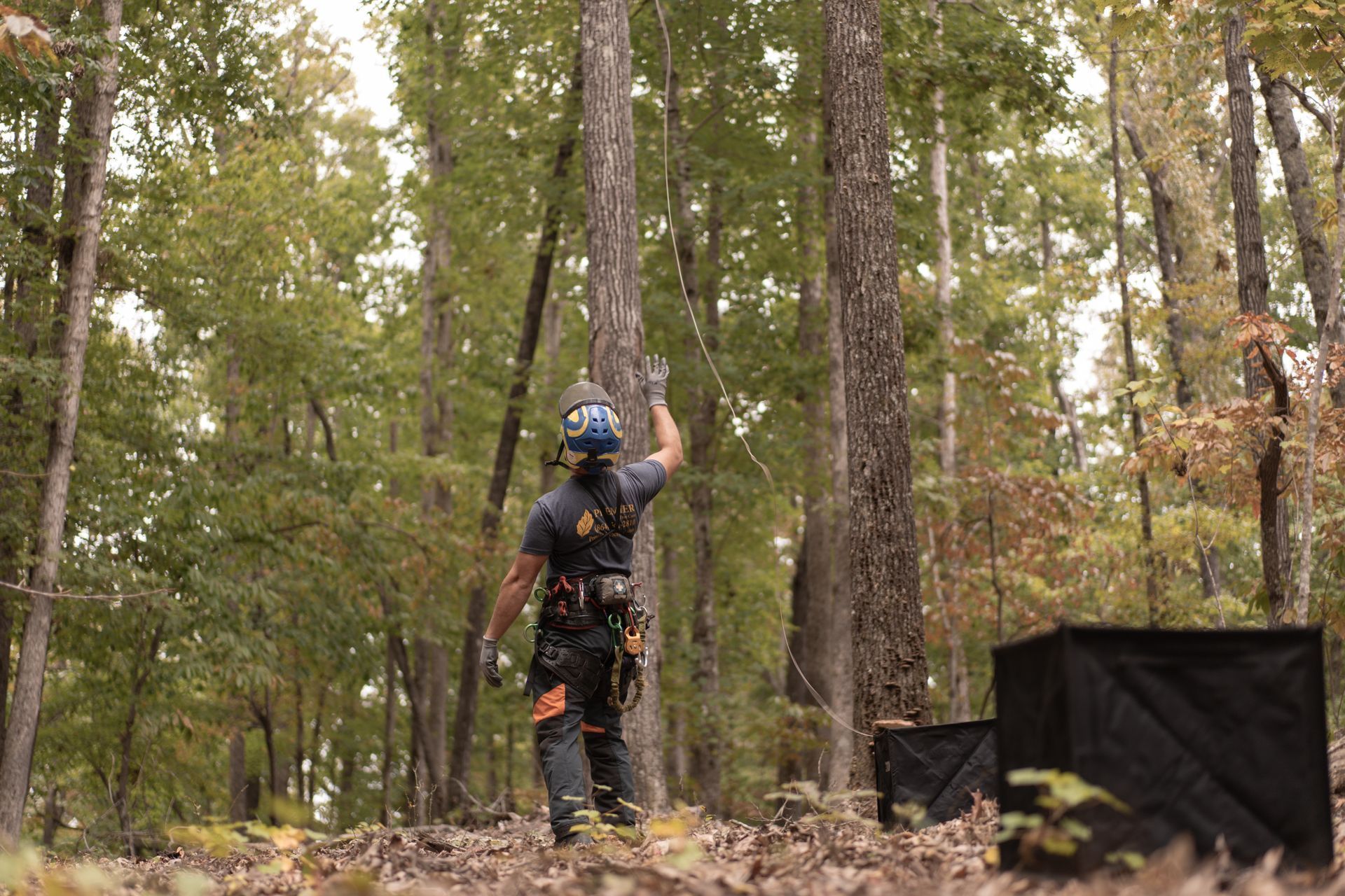 Person in helmet and gear standing in a wooded area with raised arm near black barriers
