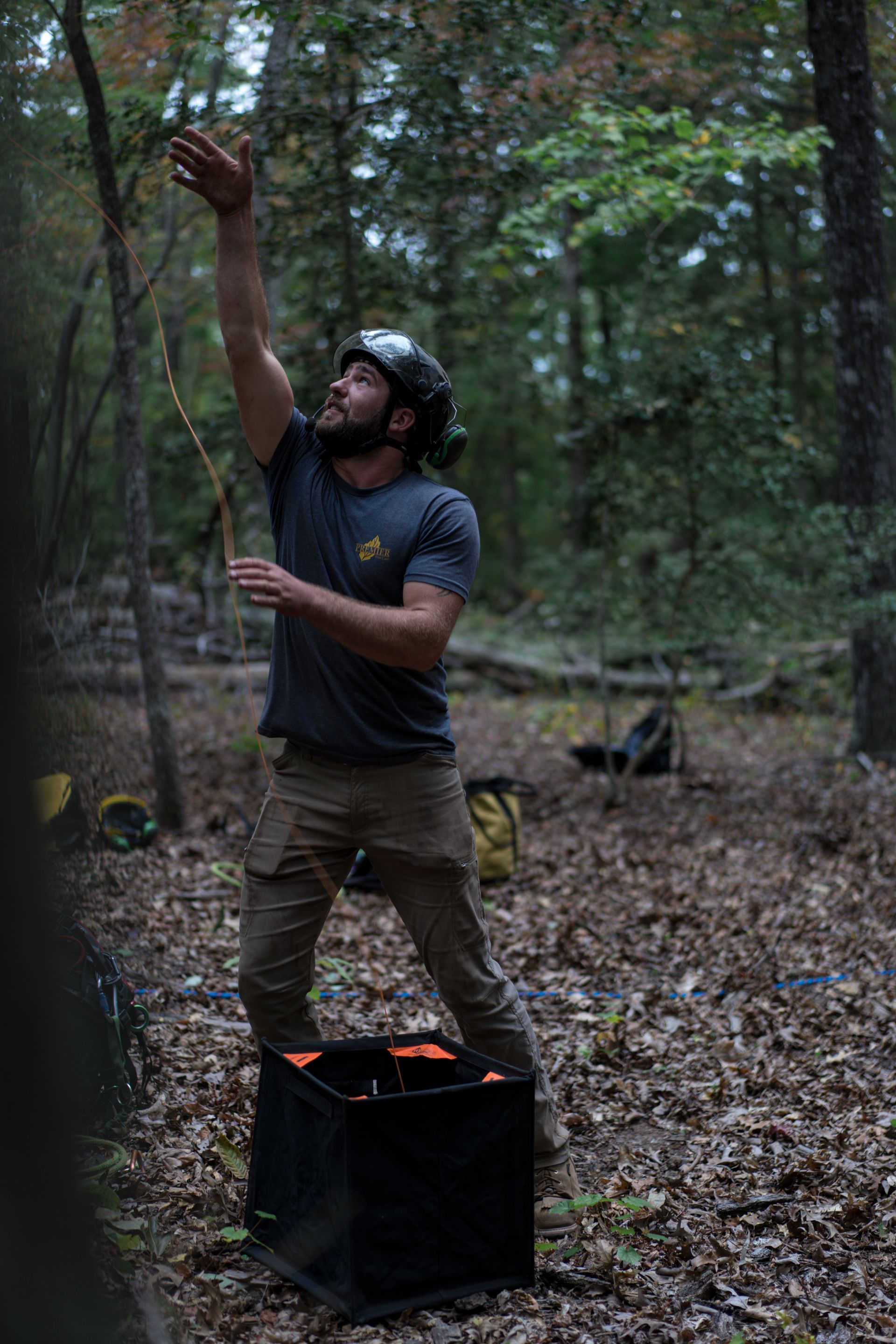 Person standing in a wooded area, reaching up toward a tree while holding a box