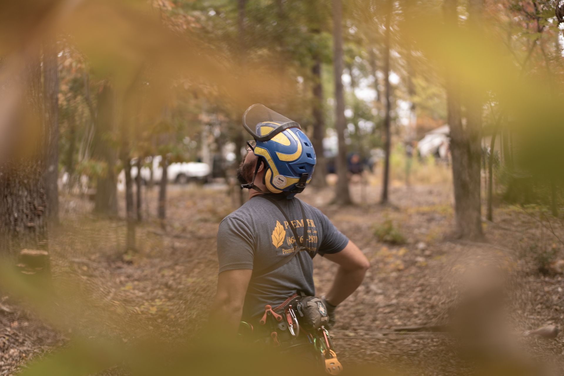 Person in blue and yellow helmet stands in a wooded area, seen through blurred leaves.